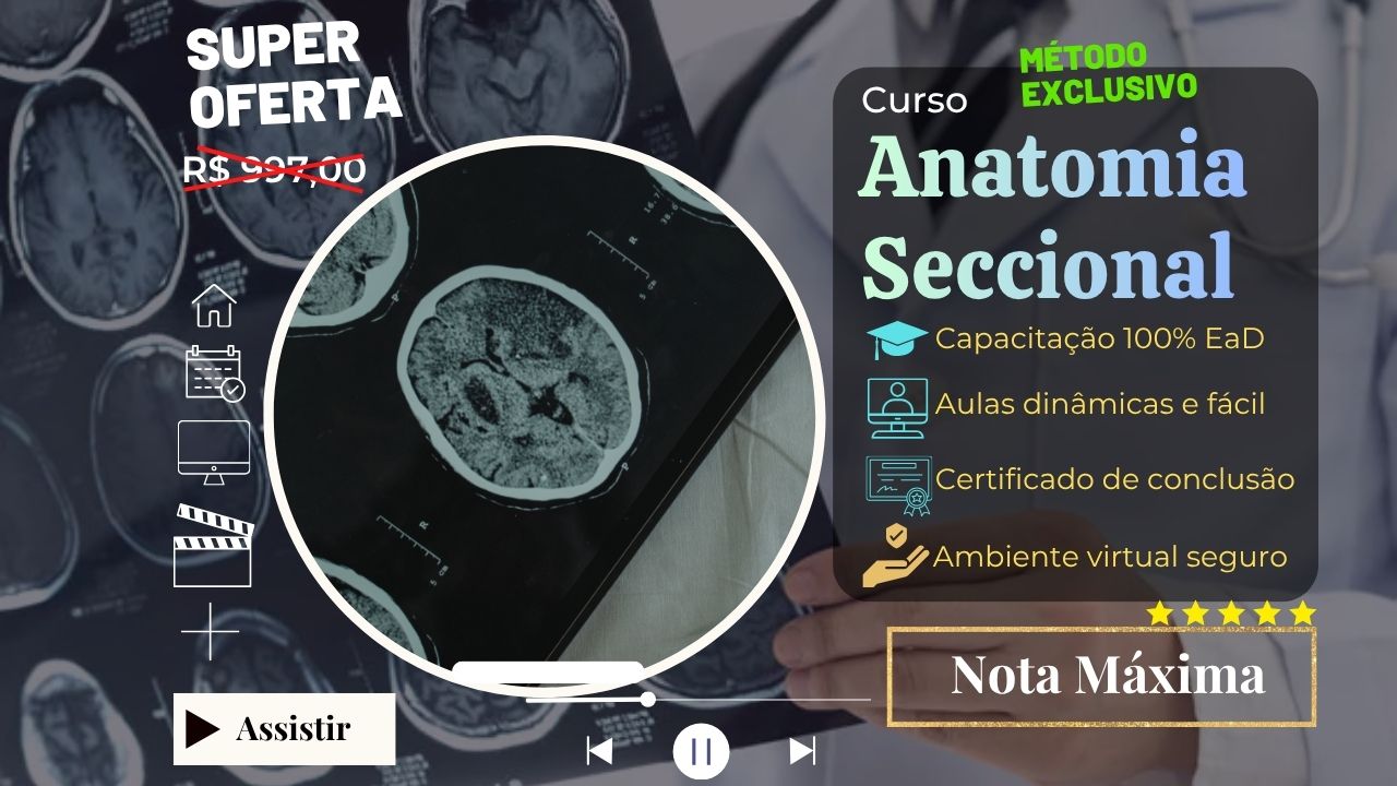 Curso de Anatomia Seccional